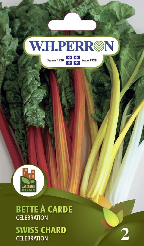 Bette à carde 'Celebration' - Semences – Jardineries Botanix