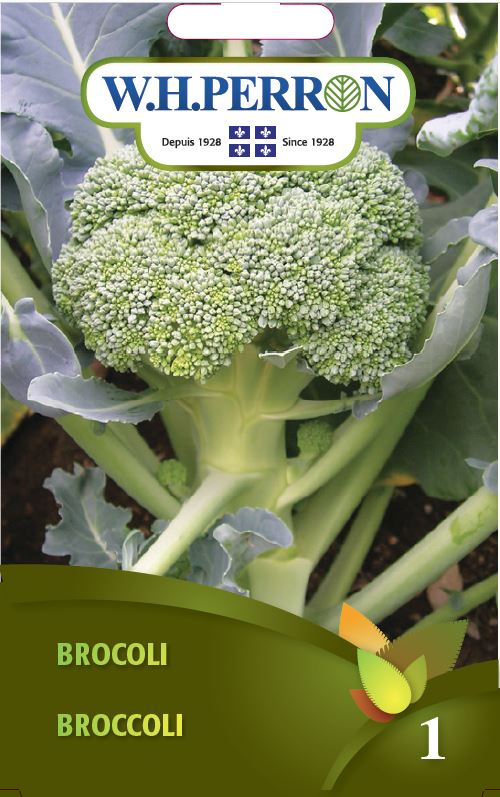 Broccoli - Seeds