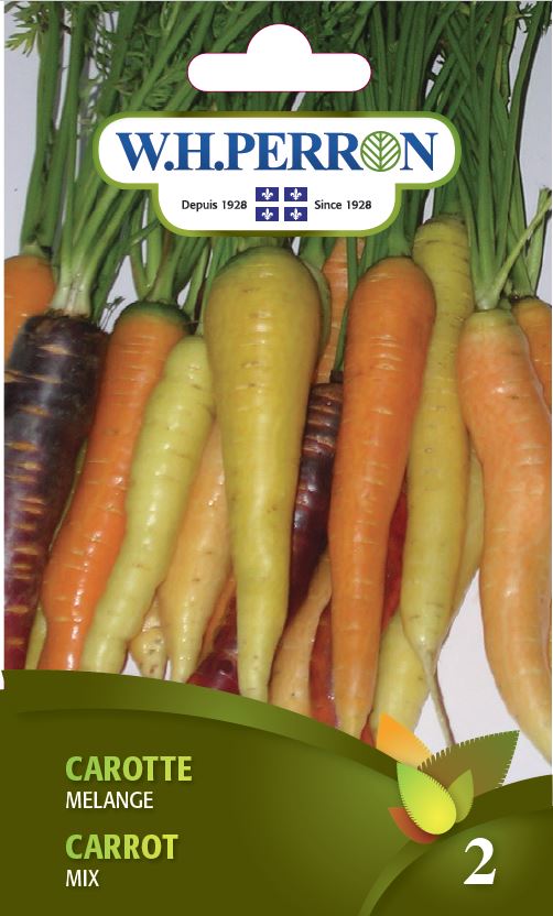 Carrot 'Mix' - Seeds