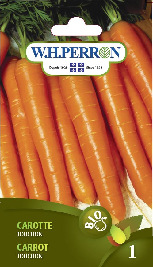 Carrot 'Touchon ' - Seeds