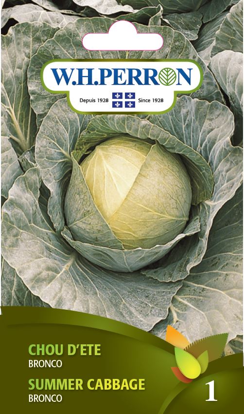 Summer cabbage 'Bronco' - Seeds