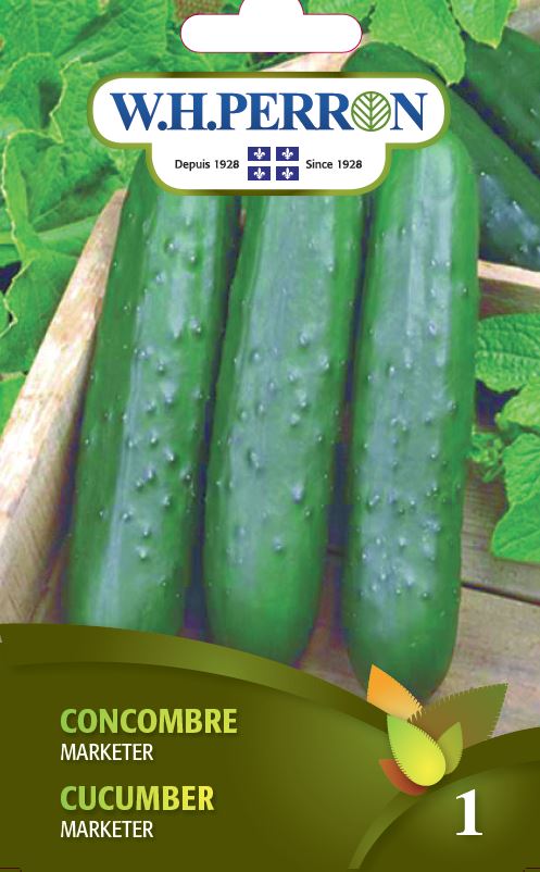 Cucumber 'Marketer' - Seeds