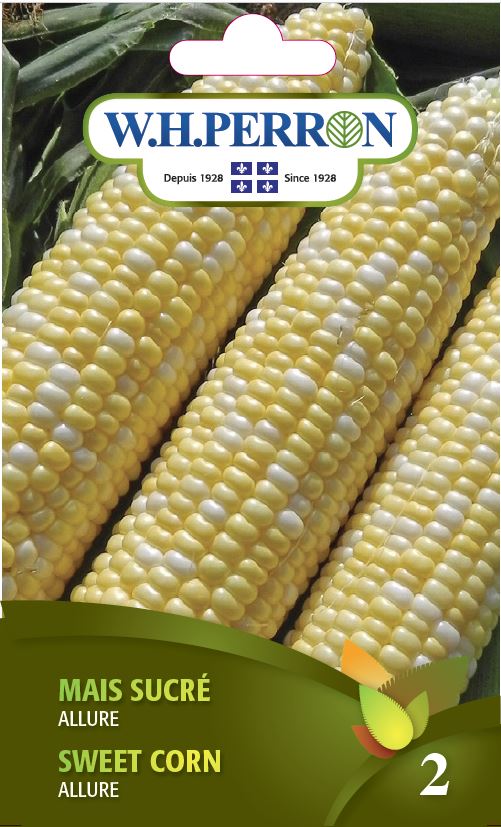 Sweet corn 'Allure' - Seeds