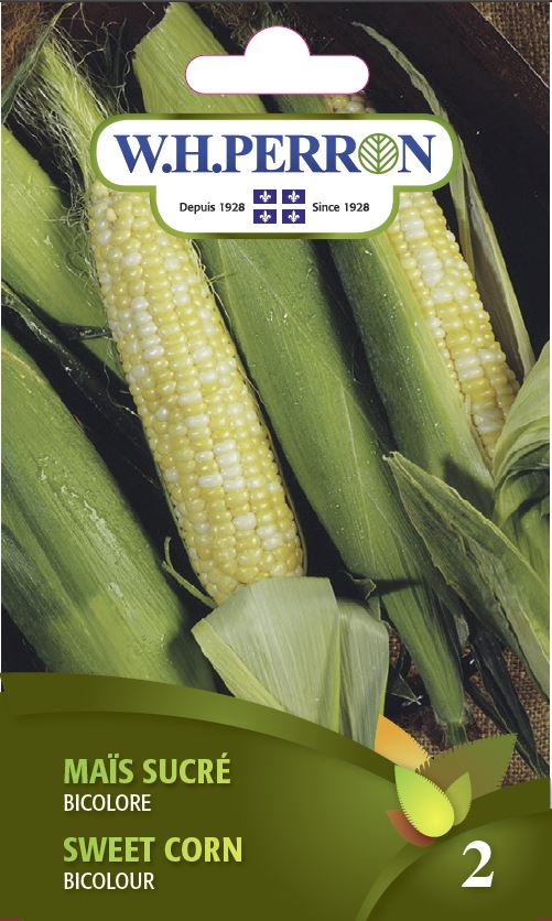 Sweet corn 'Bicolour' - Seeds