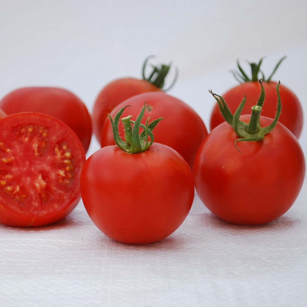 Tomate Ancestrale 'Manitoba' – Jardineries Botanix