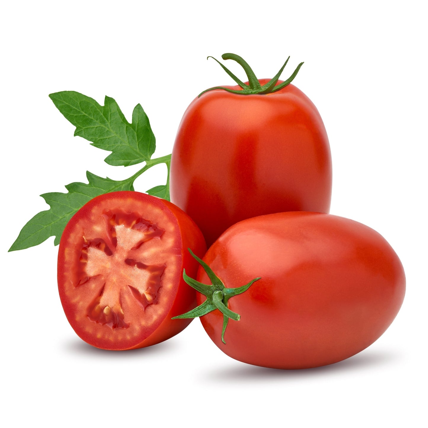 Roma' Italian Tomato