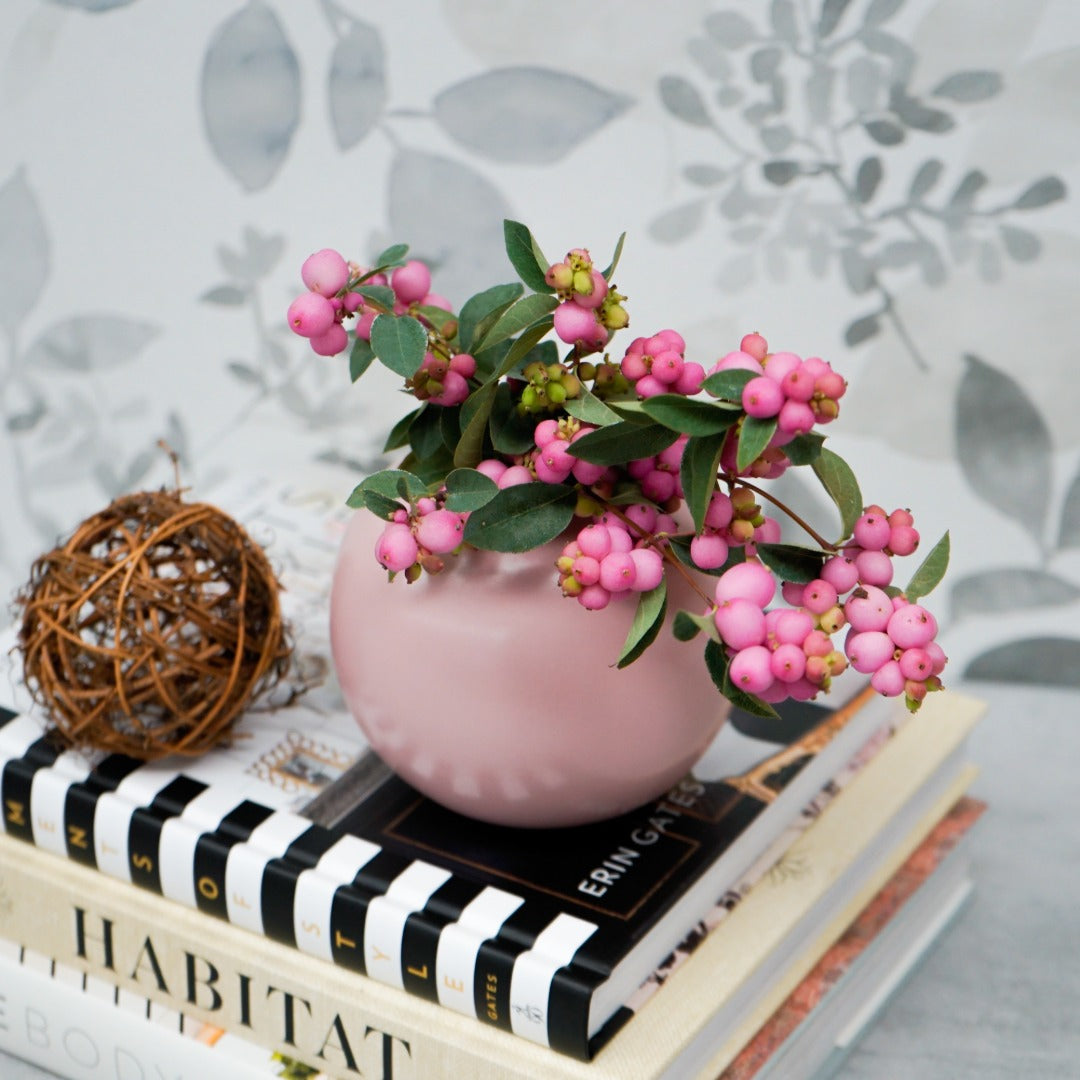 Symphoricarpos x doorenbosii PINKY PROMISE™ - Symphorine PINKY PROMISE™
