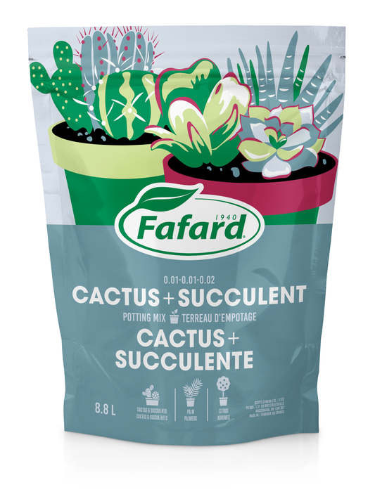Terreau d'empotage pour cactus et plantes grasses
