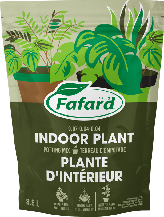 Indoor plant and tropical potting mix