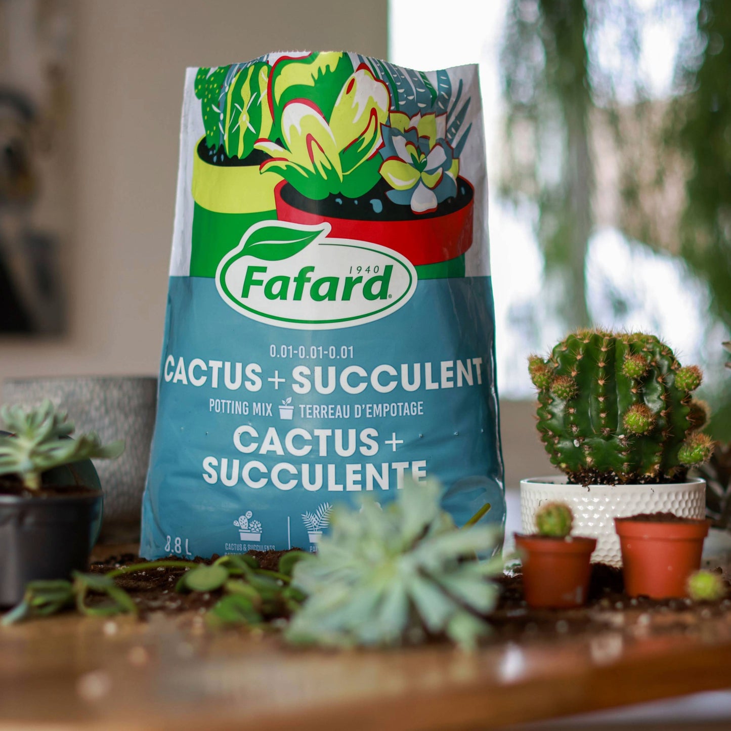 potting medium for succulents Fafard Cactus & Succulent Potting Mix: Optimal Drainage – Jardineries Botanix