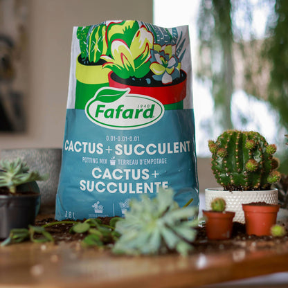 westland cacti & succulent potting mix Fafard Cactus & Succulent Potting Mix: Optimal Drainage – Jardineries Botanix