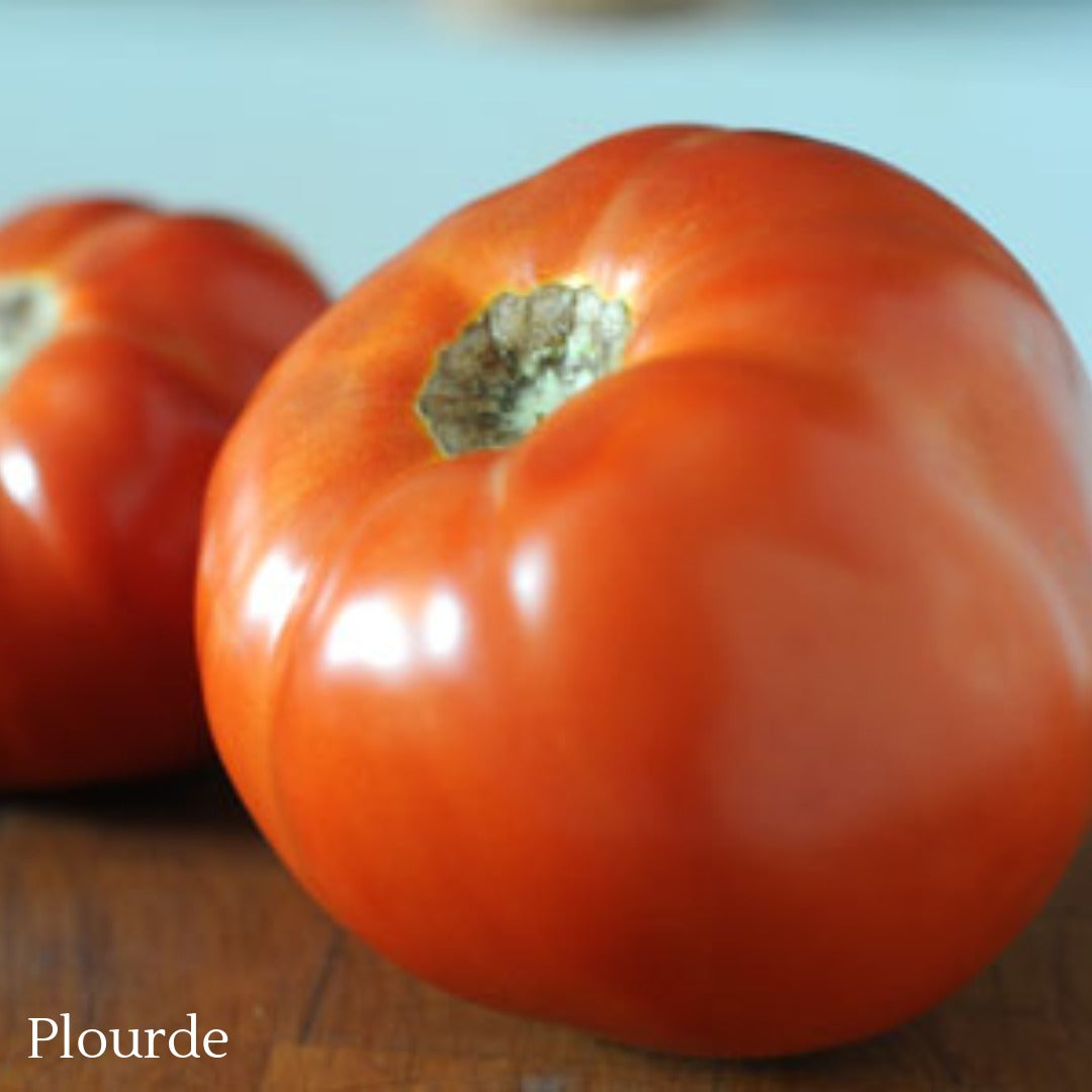 Quebec Heirloom Tomato Selection – Assorted Varieties