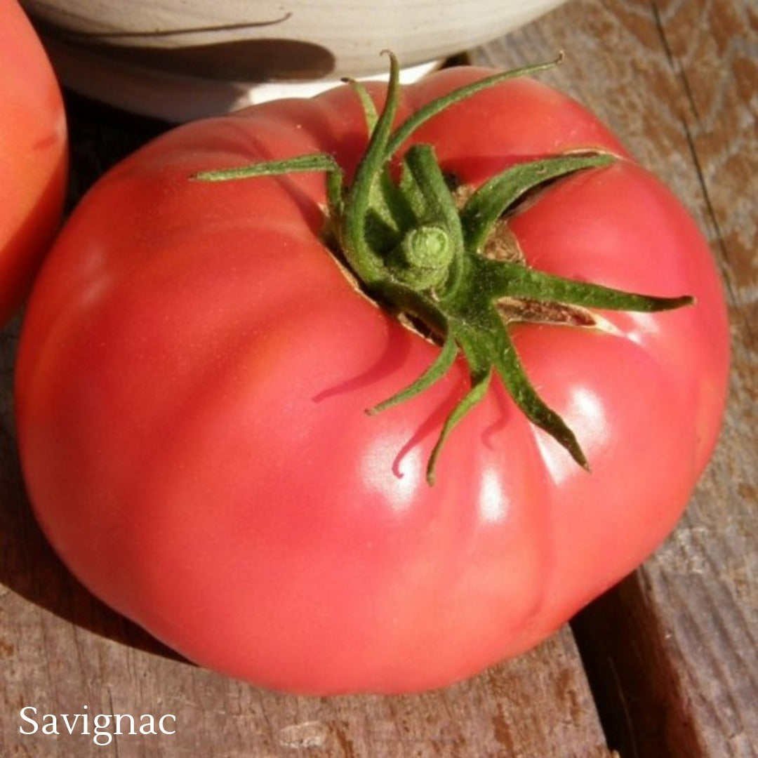 Quebec Heirloom Tomato Selection – Assorted Varieties