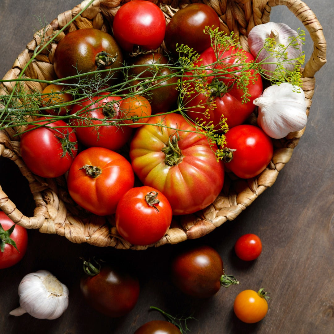 Quebec Heirloom Tomato Selection – Assorted Varieties