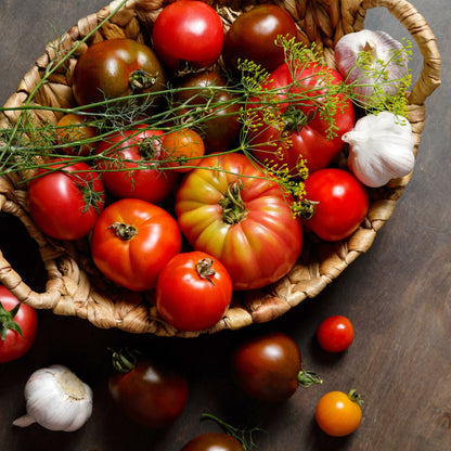 Quebec Heirloom Tomato Selection – Assorted Varieties