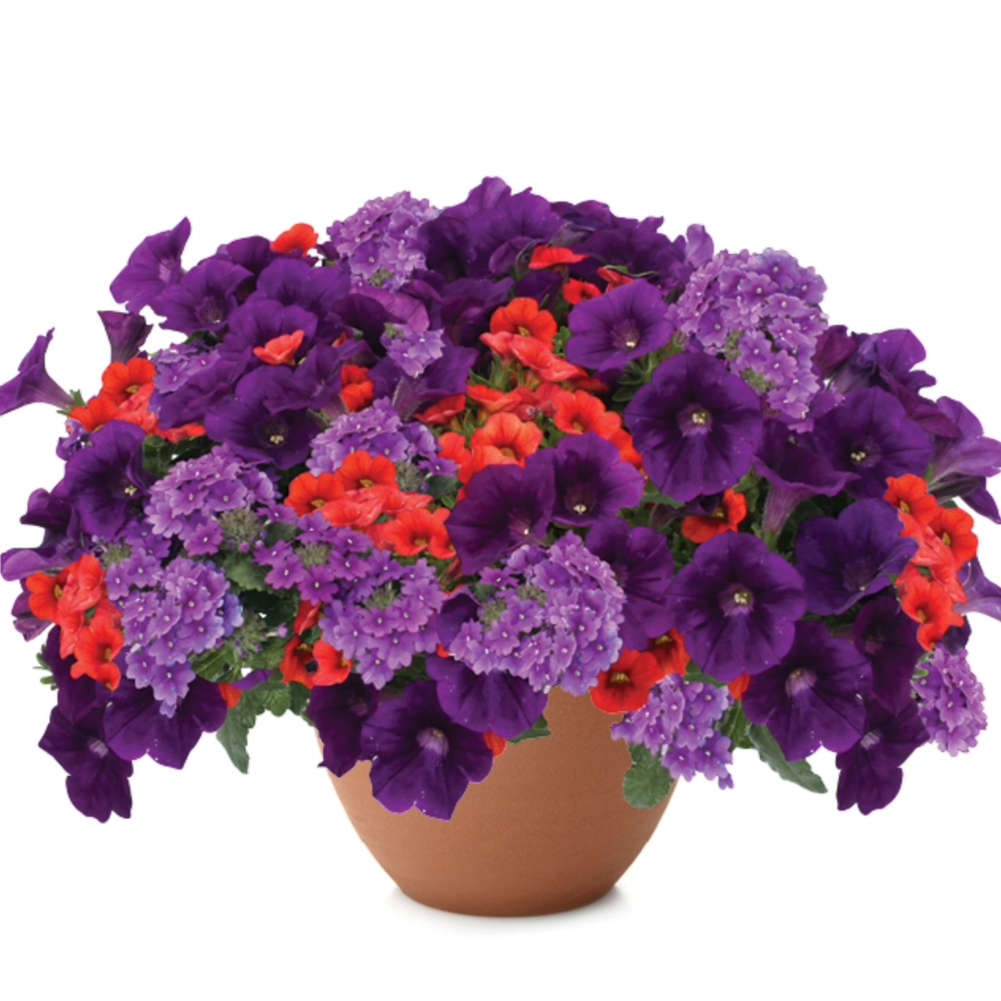 Mixed Flower Planters – Trixi® and Durabella® Collections