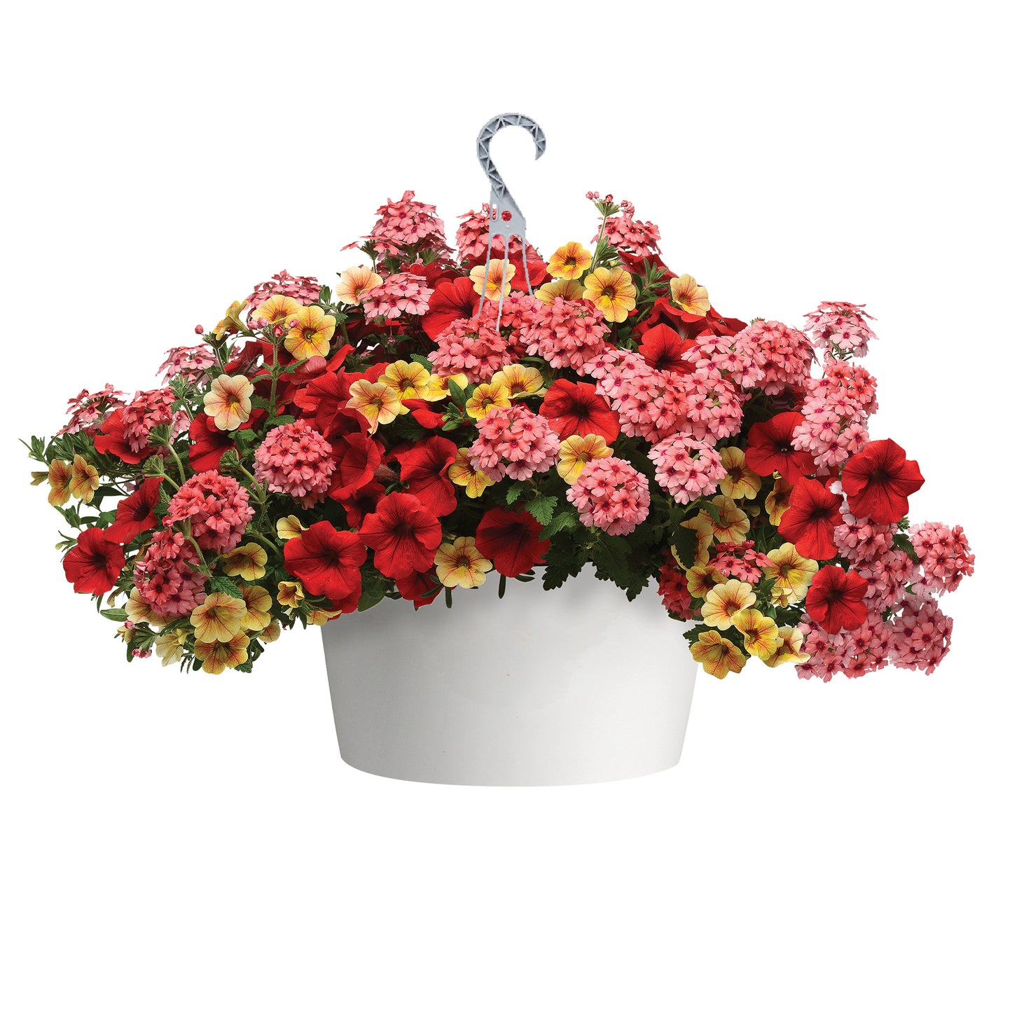 Trixi Hanging Baskets