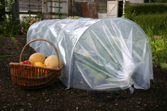 Polythene grow tunnel and weather protection