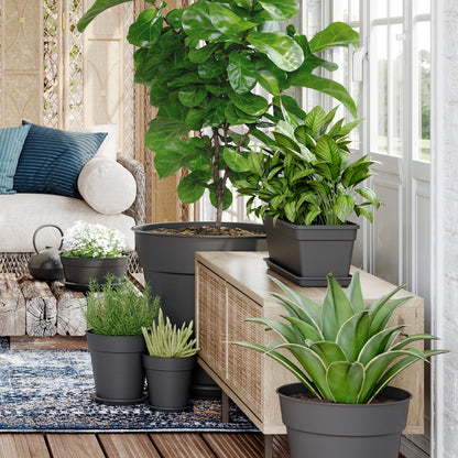 Madagascar Collection by Artevasi – Versatile Planters