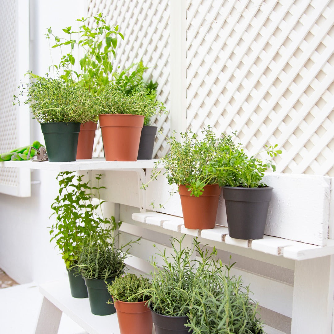 Madagascar Collection by Artevasi – Versatile Planters