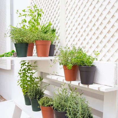 Madagascar Collection by Artevasi – Versatile Planters