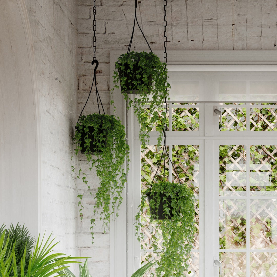 Madagascar Collection by Artevasi – Versatile Planters