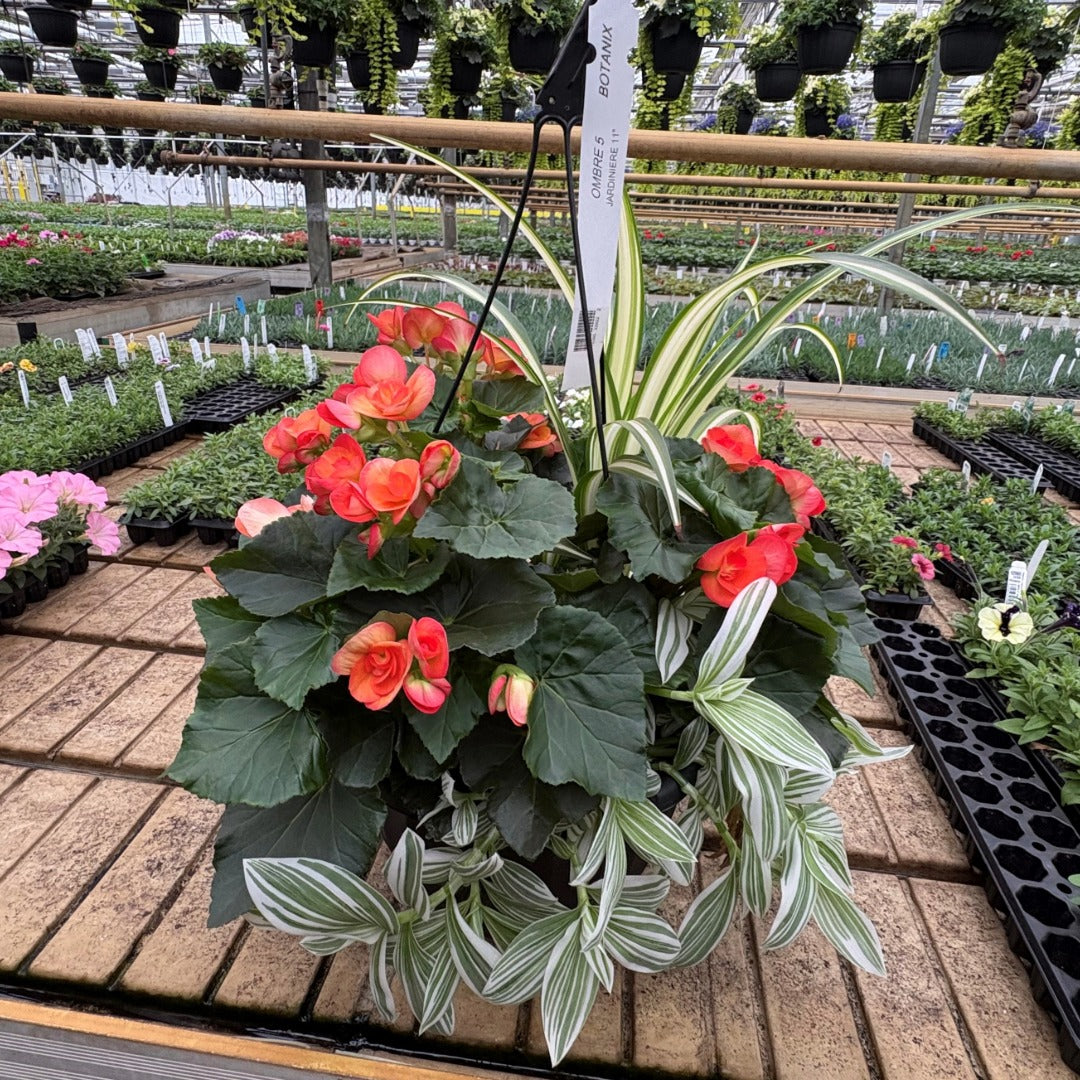 Trixi® and Durabella® Planters | Stunning Flowers All Summer Long