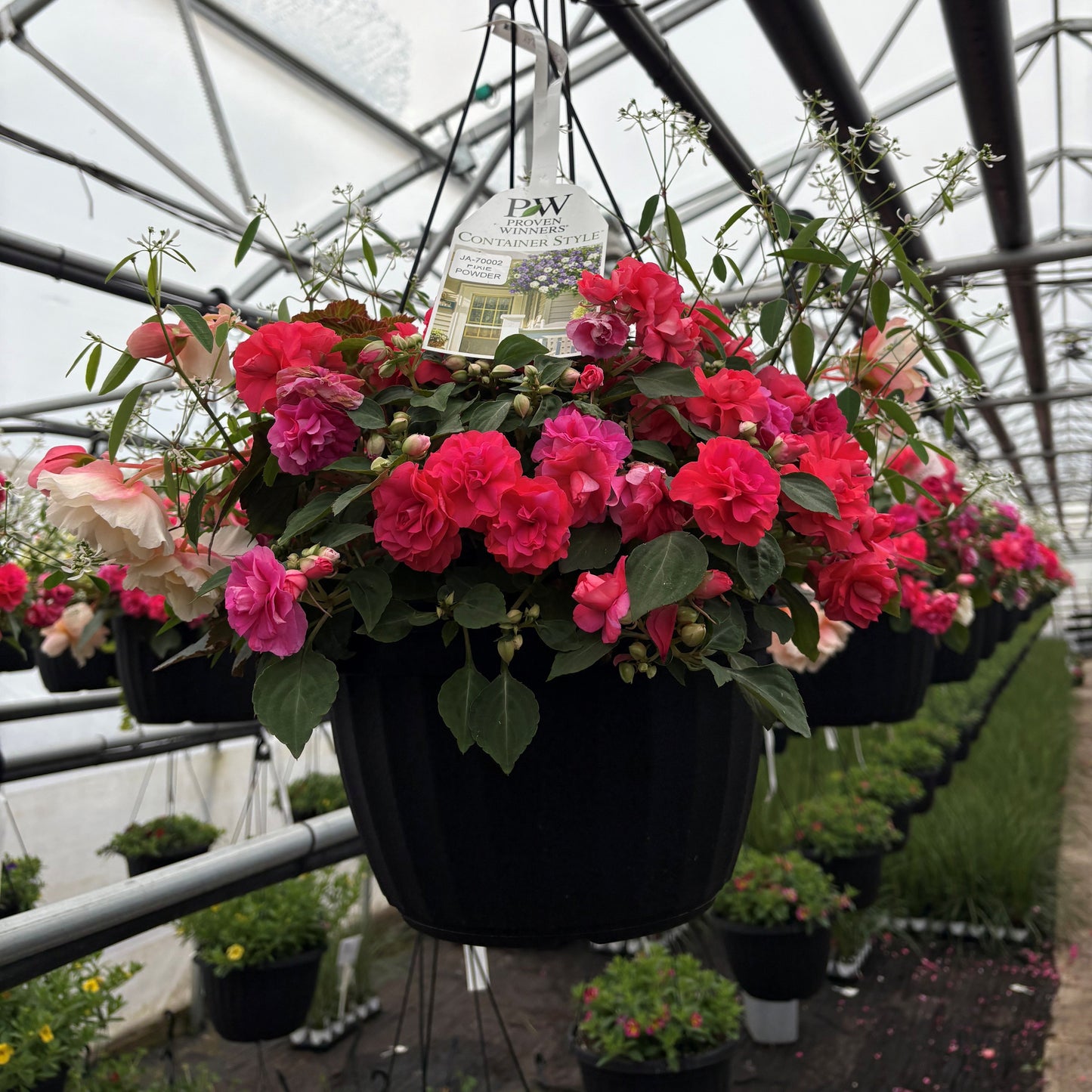 Pixie Powder™ Hanging Basket