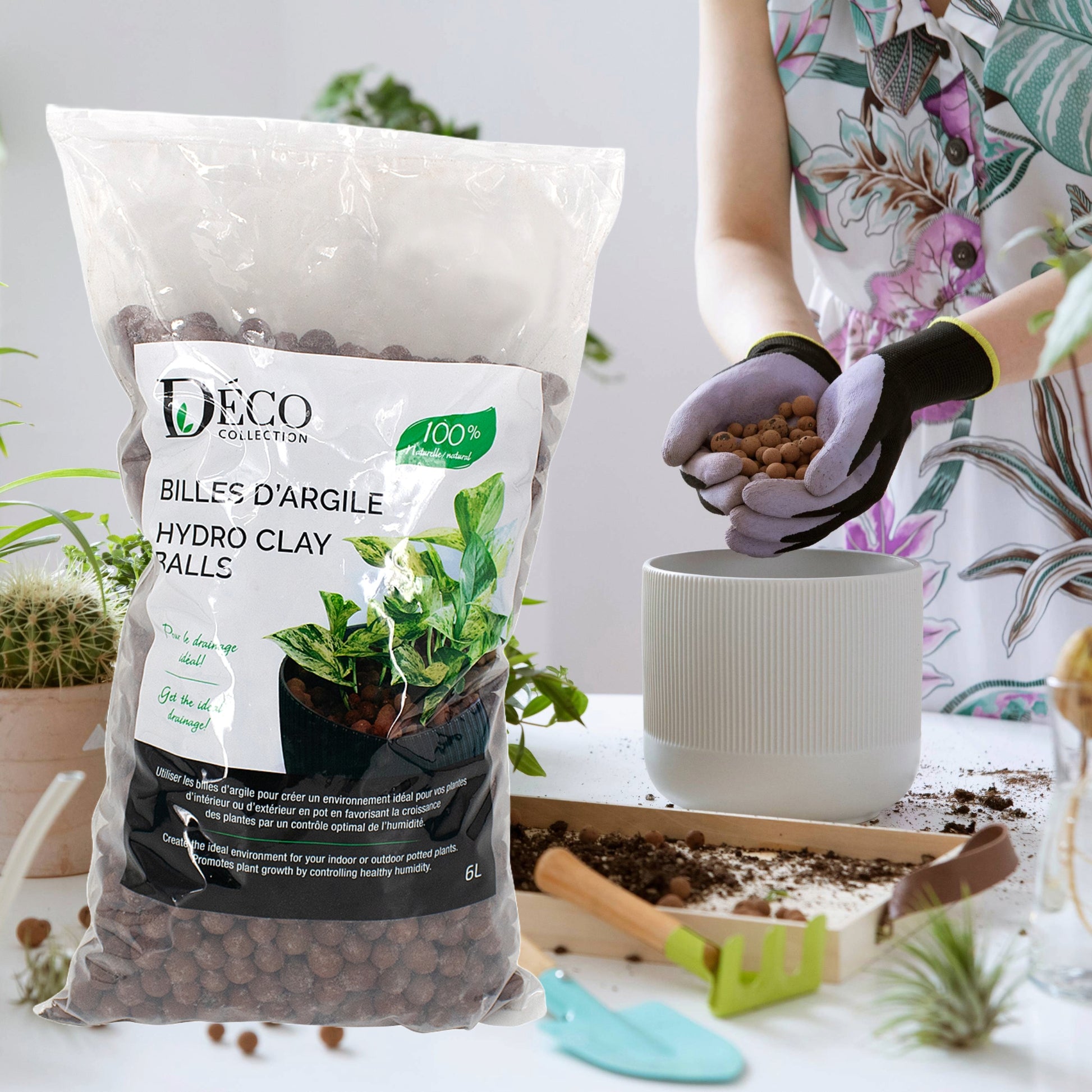 clay pebbles in potted plants Clay Pebbles for Plants - Drainage & Aeration