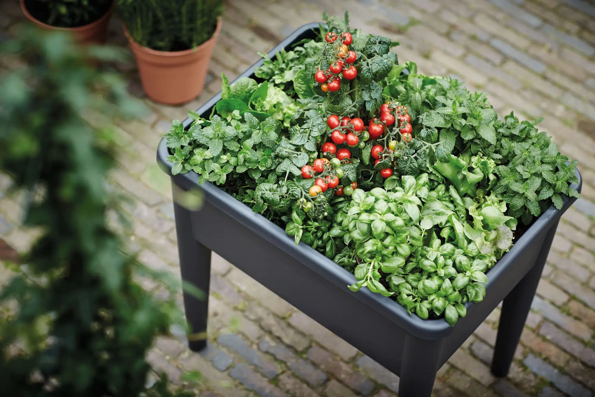 Green Basics Super XXL Grow Table by elho | Sustainable Gardening Green Basics Super XXL Grow Table by elho | Sustainable Gardening