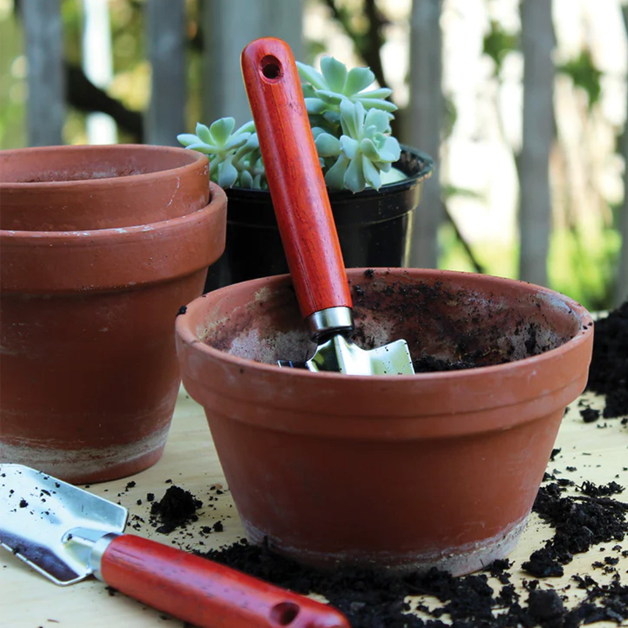 Ensemble de petits outils pour le jardinage intérieur – Jardineries Botanix