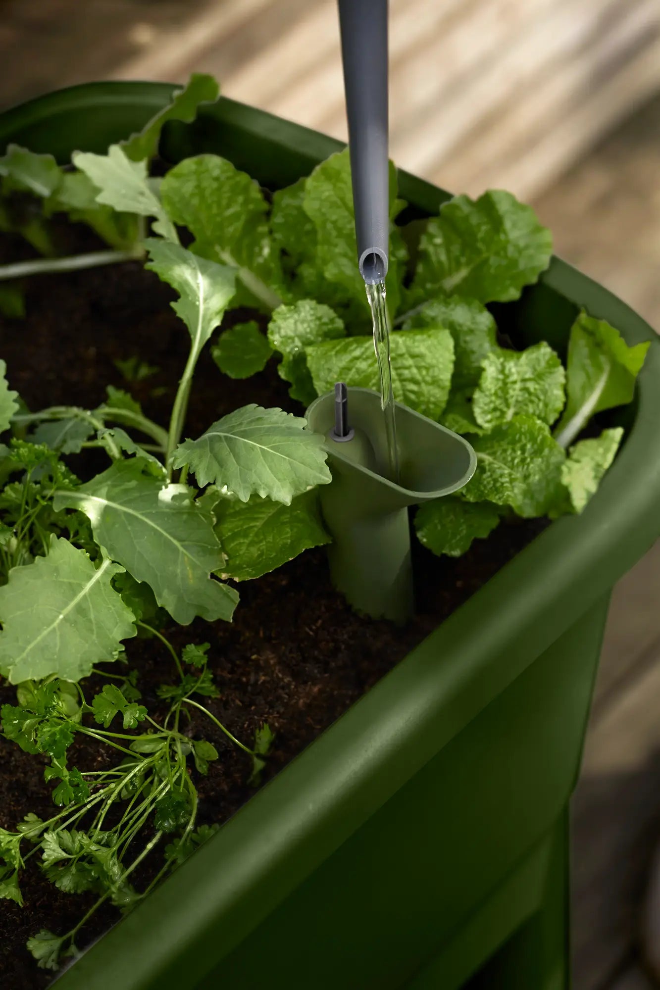 Noa Grow Table by elho – Self-Watering Cultivation Table with Grow House