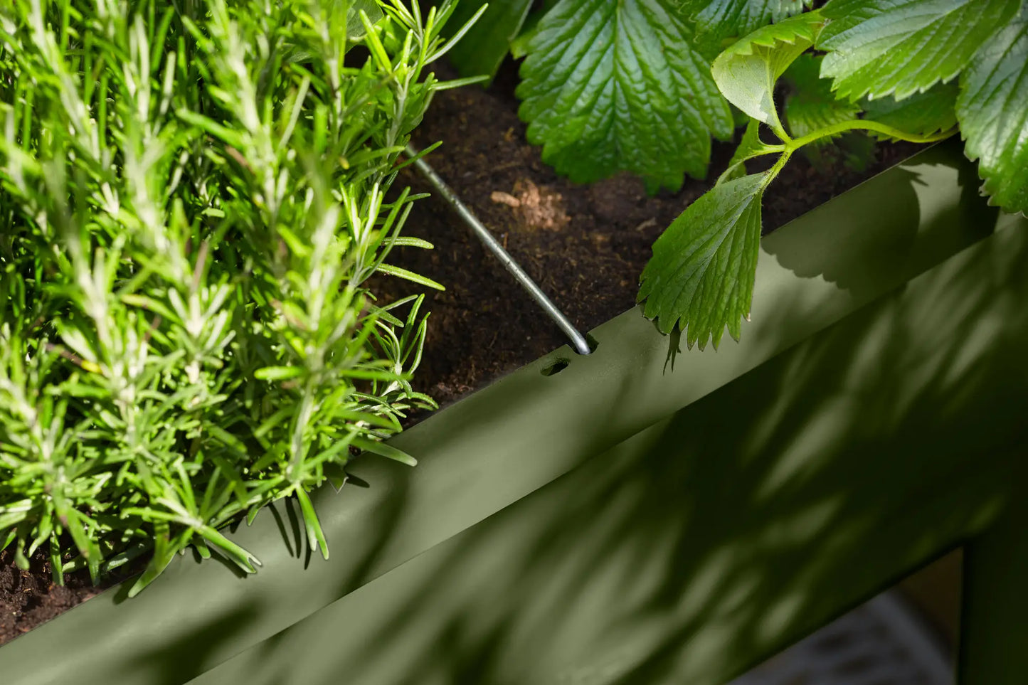 Noa Grow Table by elho – Self-Watering Cultivation Table with Grow House