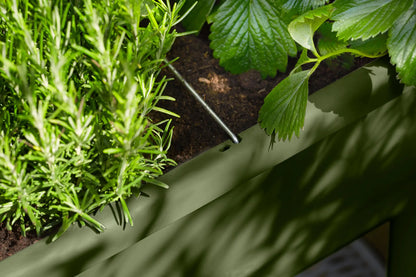 Noa Grow Table by elho – Self-Watering Cultivation Table with Grow House
