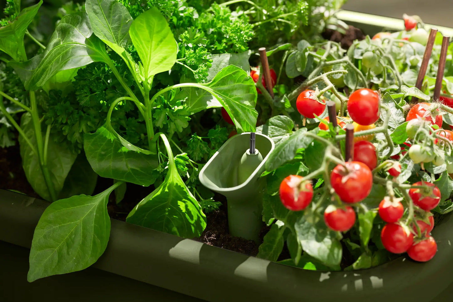 Noa Grow Table by elho – Self-Watering Cultivation Table with Grow House