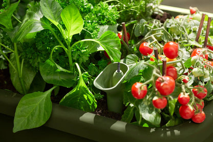 Noa Grow Table by elho – Self-Watering Cultivation Table with Grow House