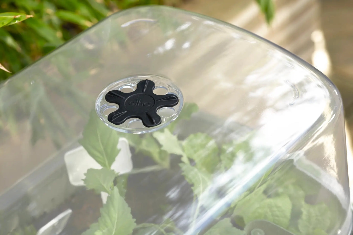 Noa Grow Table by elho – Self-Watering Cultivation Table with Grow House