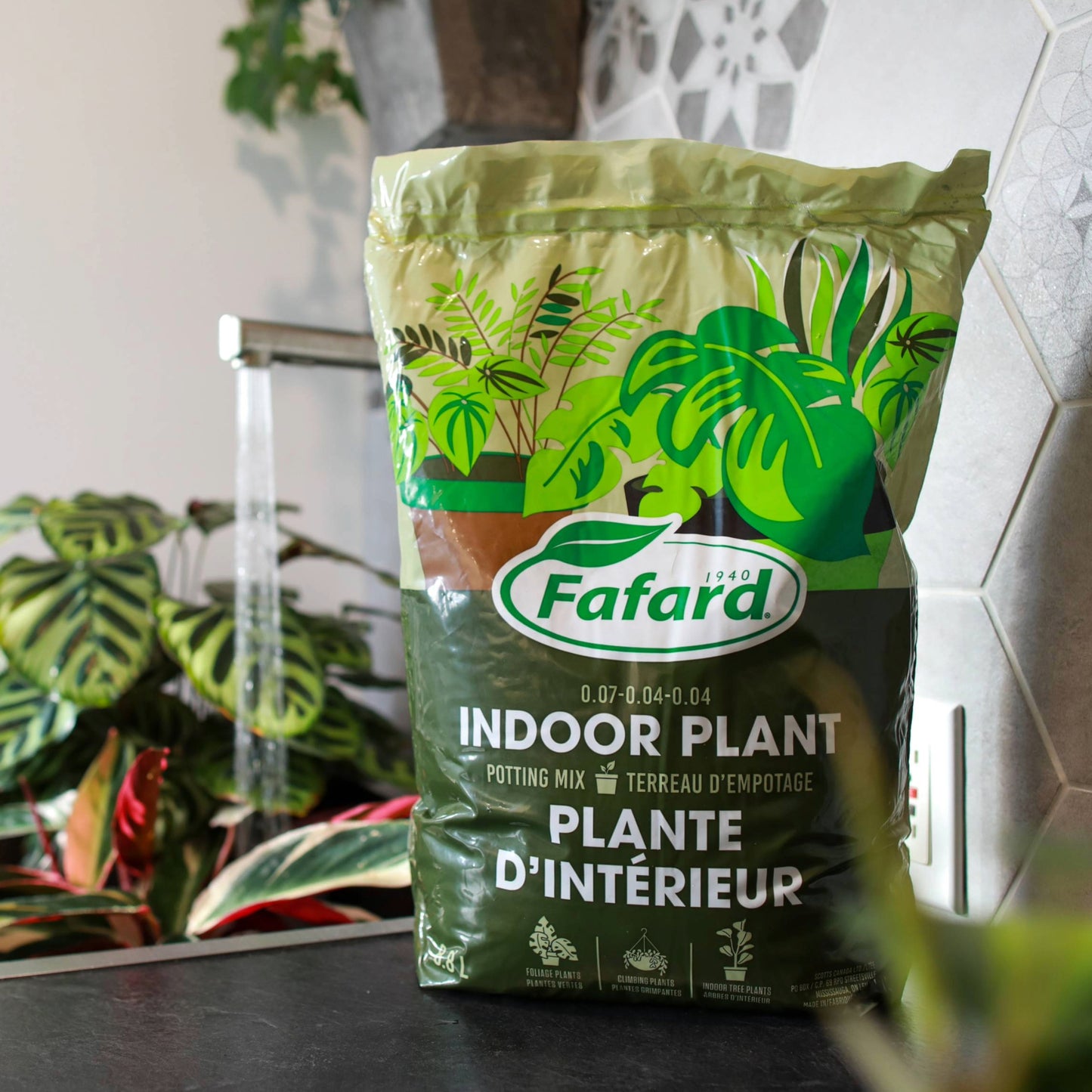tropical plant potting mix Potting Mix: Healthy Indoor & Tropical Plants – Jardineries Botanix
